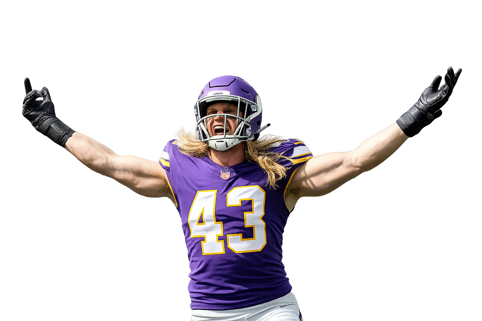 Andrew Van Ginkel celebrating